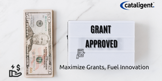 Secure Government Grants and Tax Incentives for Innovation