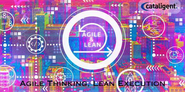 Adopt Agile and Lean Innovation Approaches