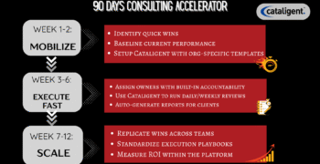 The 90-Day Project Acceleration Plan for Consultants