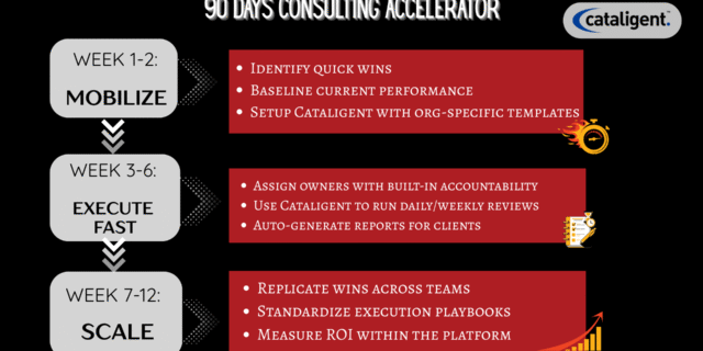 The 90-Day Project Acceleration Plan for Consultants