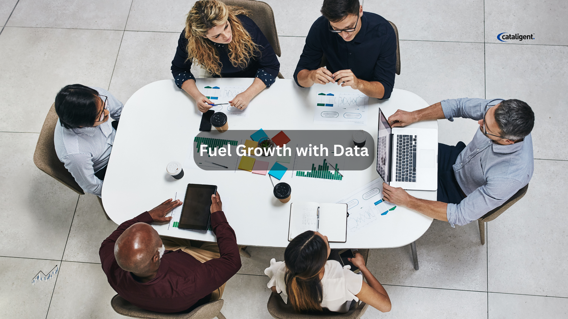 Data as a Growth Engine: Building a Decision-Driven Organization