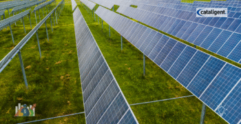 Energy and Resource Optimization: Unlocking Cost Savings and Sustainable Growth