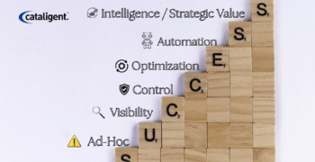 The Maturity Roadmap: Building Sustainable Cost Saving Strategies Step by Step