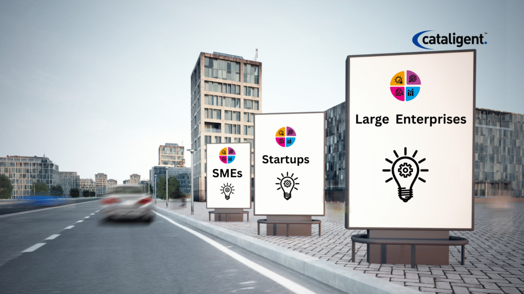 Business Transformation Strategies: Tailored Approaches for Startups, SMEs, and Large Enterprises