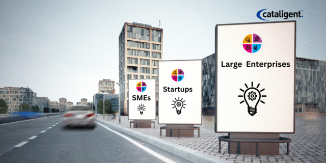 Business Transformation Strategies: Tailored Approaches for Startups, SMEs, and Large Enterprises