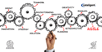 Agile Transformation in Action: Lessons from Startups and Enterprises