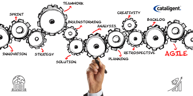 Agile Transformation in Action: Lessons from Startups and Enterprises