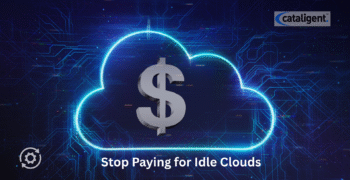 Idle Cloud Resource Management: Reducing Wasted Costs for Agile Business Transformation