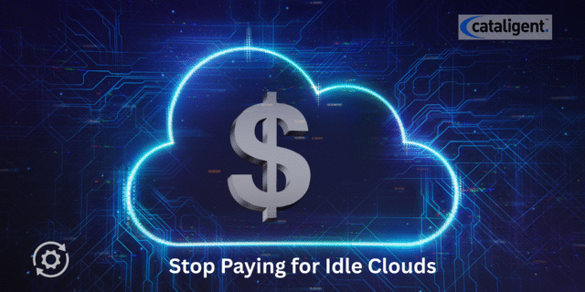 Idle Cloud Resource Management: Reducing Wasted Costs for Agile Business Transformation