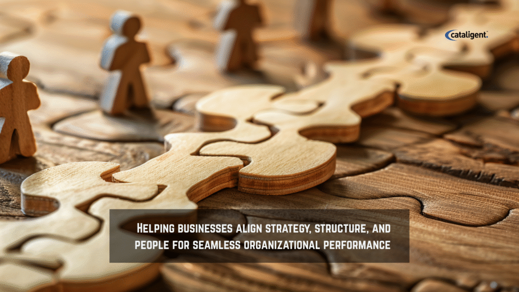 Organizational Alignment Consulting – Synchronizing Strategy, Structure, and People