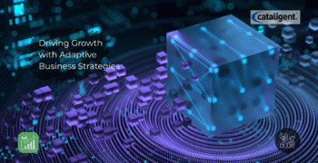 Driving Sustainable Growth through Adaptive Business Models in a Volatile Market