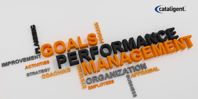 Performance Management: Driving Organizational Success Through Metrics and Accountability