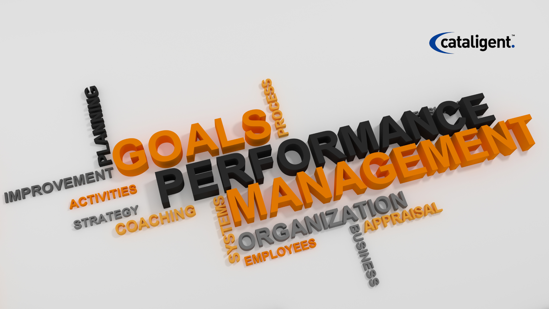 Performance Management: Driving Organizational Success Through Metrics and Accountability